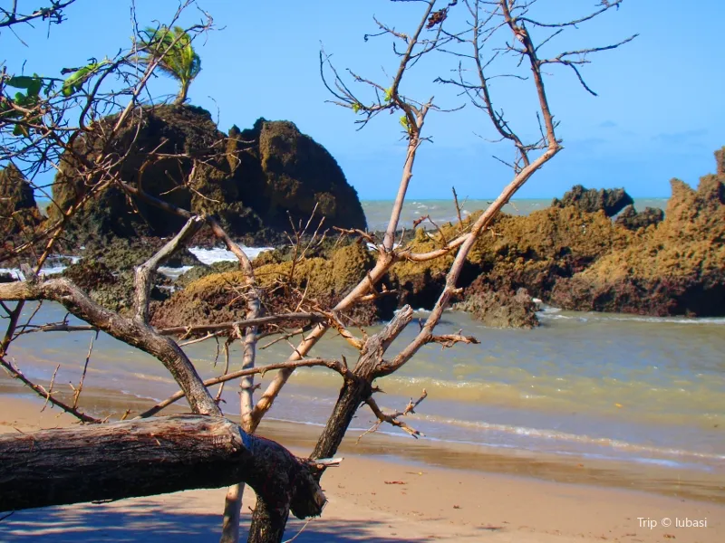 2_Tambaba Beach