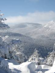 Cannon Mountain