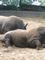 托萊多動物園