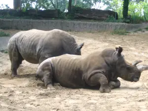 トリード動物園