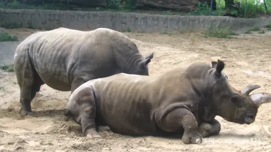 トリード動物園