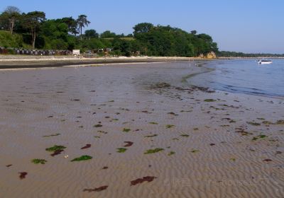 Studland beach and Nature Reserve