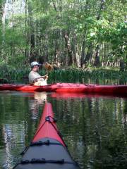 Canoe Outfitters of Florida