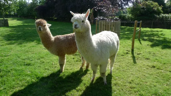 Heads Of Ayr Farm Park