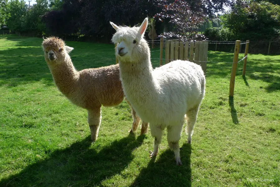 Heads of Ayr Farm Park