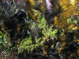 Hā'ena State Park