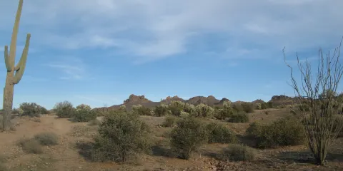 Lost Mountain Park