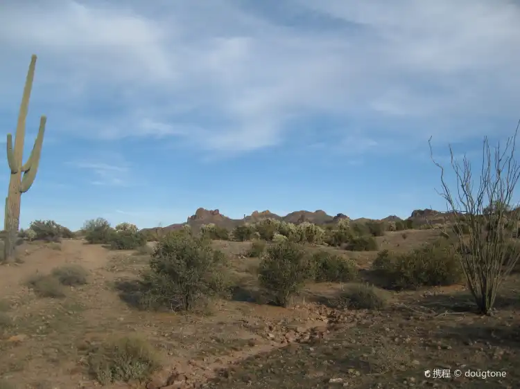 فنادق في Powder Springs