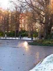 St Stephen's Green