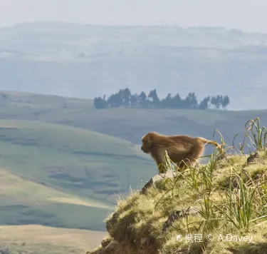 North Gondar