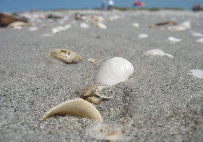 Plage de Bowmans