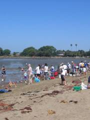 Crown Memorial State Beach