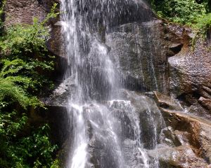 香港-里士滿 機票酒店 自由行