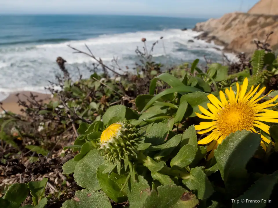 1_Pacifica State Beach