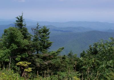 Roan Mountain State Park