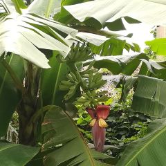 桂港海鮮城張用戶圖片