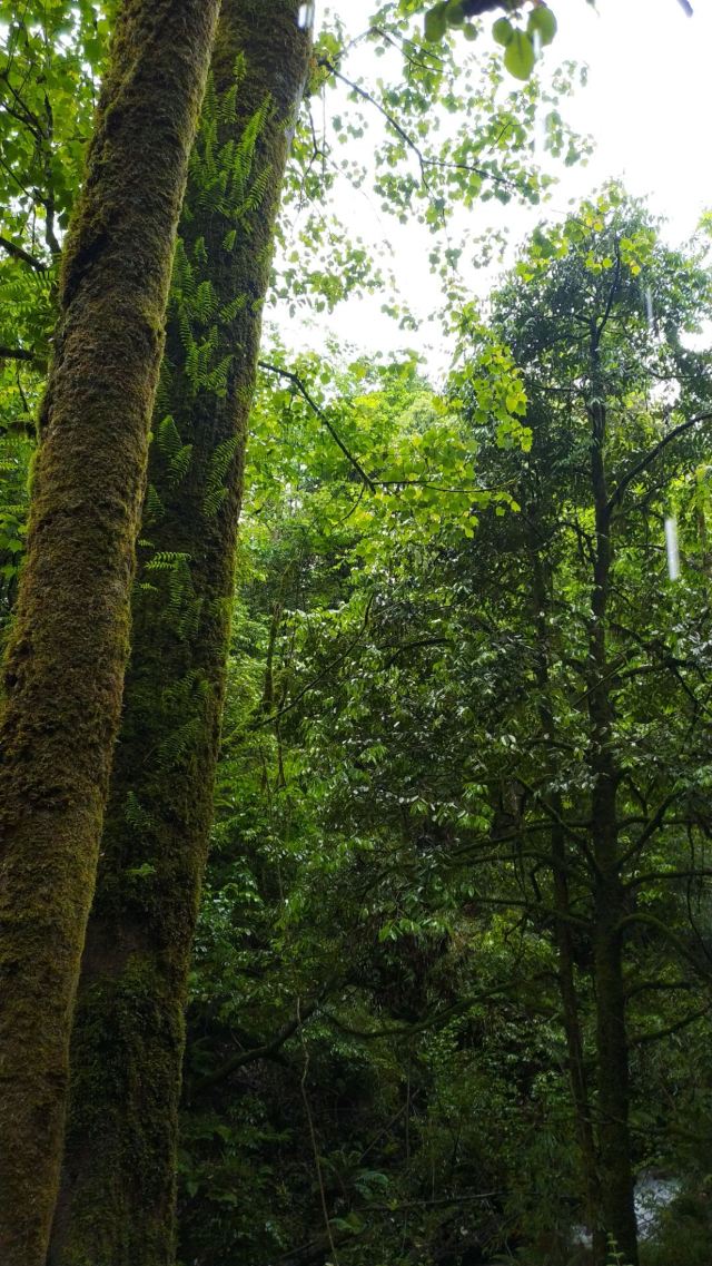 Longcang Valley