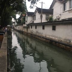 Song helou User Photo