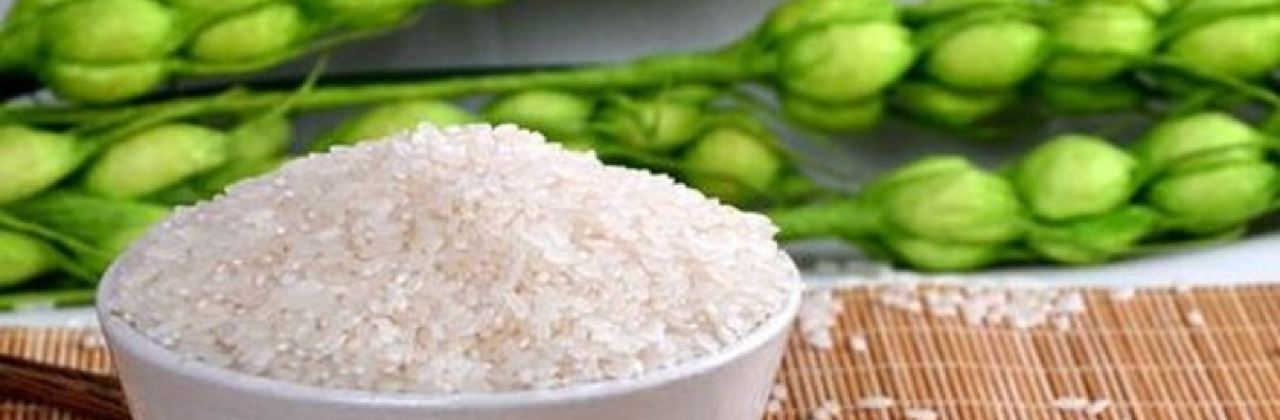 水城黄焖鸡米饭(财神阁店总店)