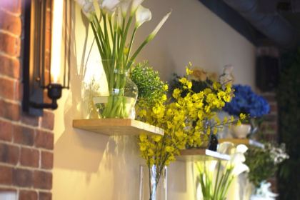 排排坐小清新火鍋