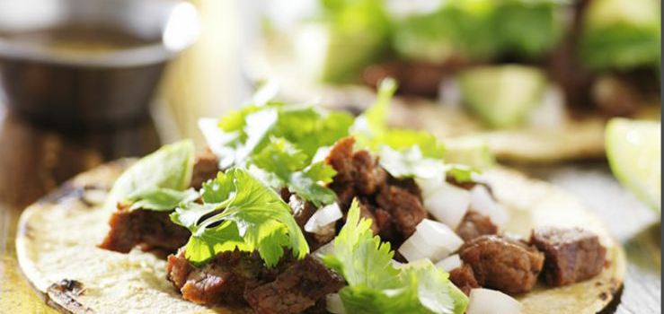 Taco Lab