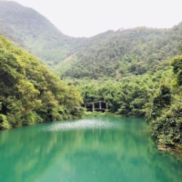評論圖片 2