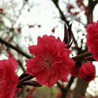 評論圖片 7