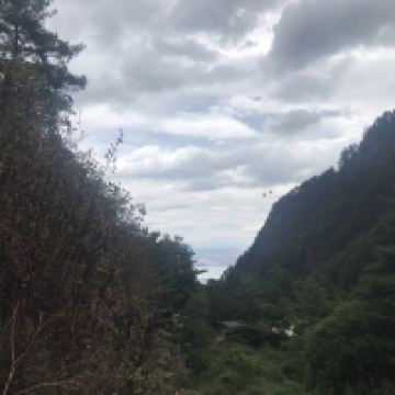 評論圖片 2