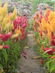 Sirao Flower Garden