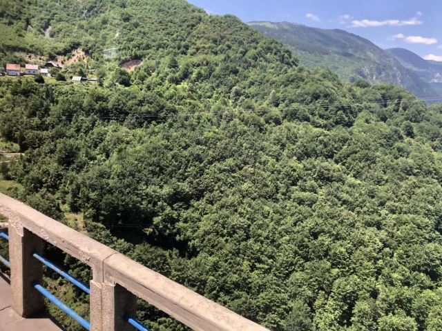 塔拉河大橋