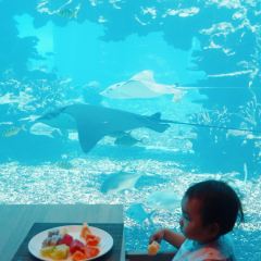 Aqua - Aquarium Restaurant User Photo