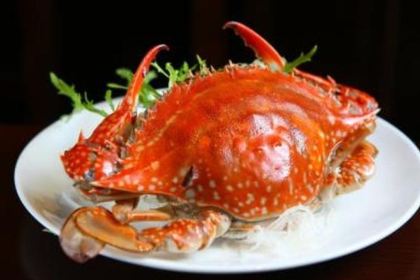 薄利活海鲜