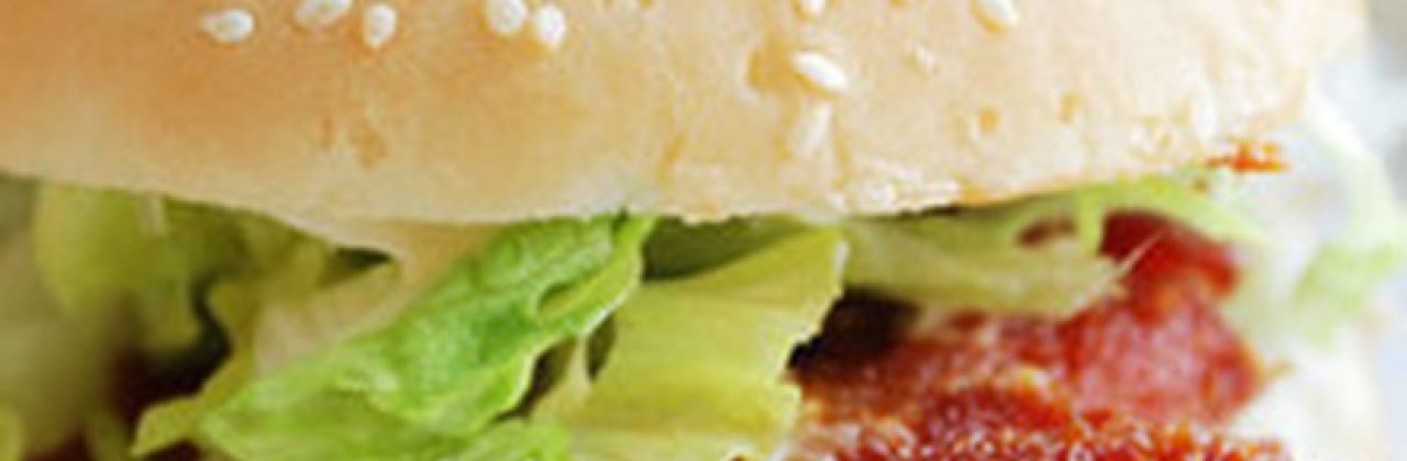 AO SI TING ZHA JI HAN BAO MA LING SHAN DIAN