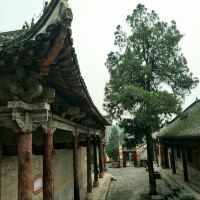評論圖片 7