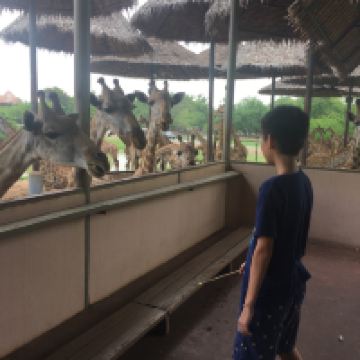 評論圖片 1