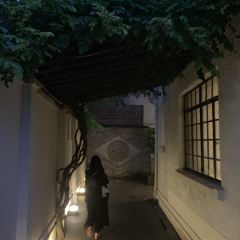 Fu 1039 ảnh của người dùng