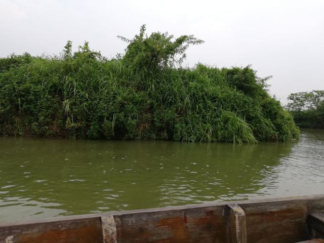 White Pagoda Park