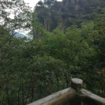 評論圖片 1