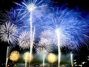 Edogawa City Fireworks Show