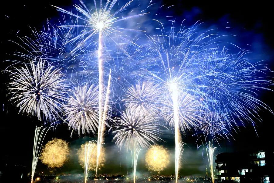 Edogawa City Fireworks Show