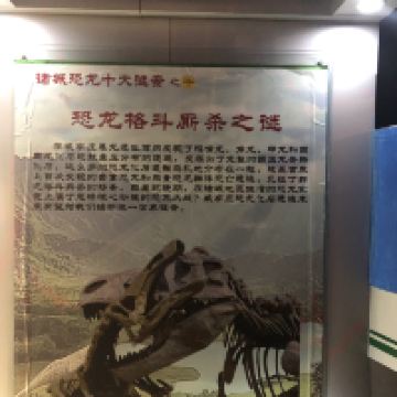 評論圖片 4