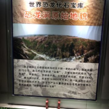 評論圖片 5