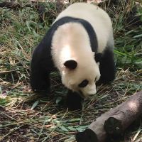 評論圖片 1