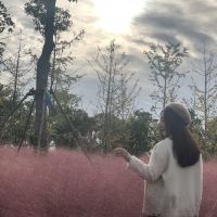 評論圖片 4