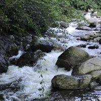 評論圖片 8
