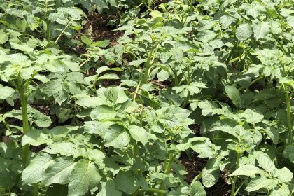 金源山庄(G108店)