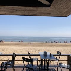 Breeze Bar User Photo