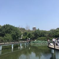 評論圖片 6