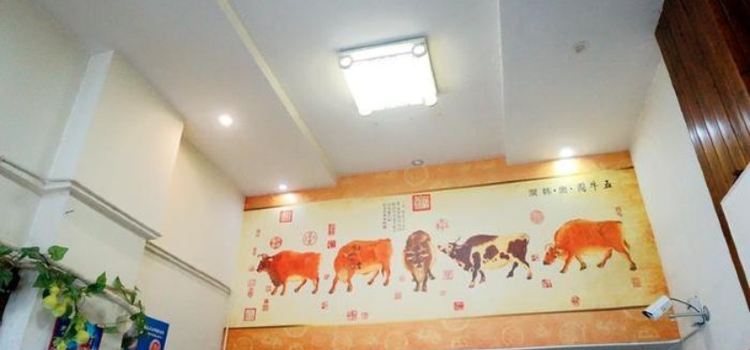 老田黄牛馆