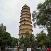 評論圖片 5